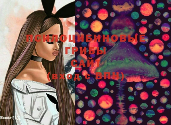 ешки Дмитров