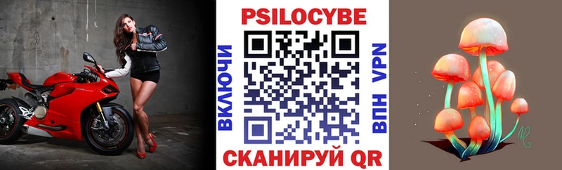 Галлюциногенные грибы Psilocybe  закладка  Донецк 