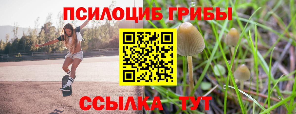 Донецк  Псилоцибиновые грибы MAGIC MUSHROOMS  Вход с VPN 